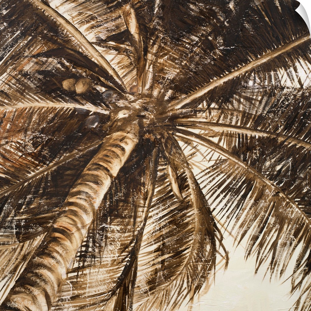 Coconut Palm II