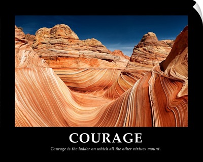 Courage is the Ladder on which all other Virtues mount
