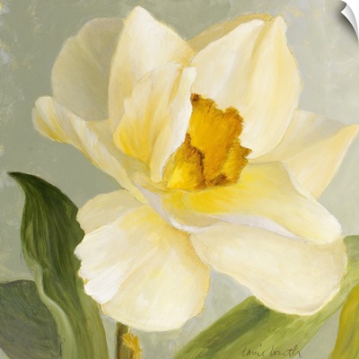 Daffodil Sky I