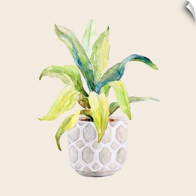 Decorative Potted Plant I