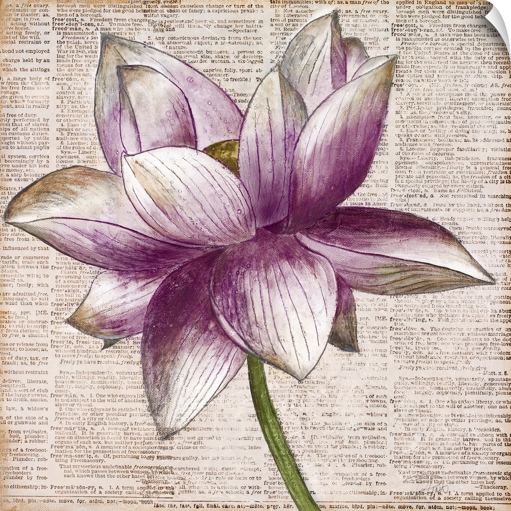 Square artwork of a white and purple lotus flower floating over bible text.