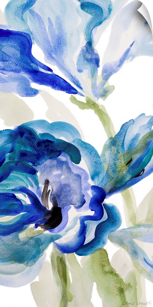 Watercolor painting of vibrant blue flowers against a white background.