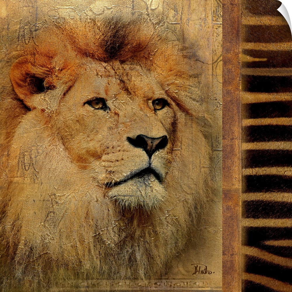 Artwork of just the face of a lion with a zebra pattern on the right side of the painting. There is a cracked texture to t...