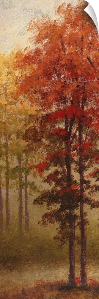 Fall Trees II