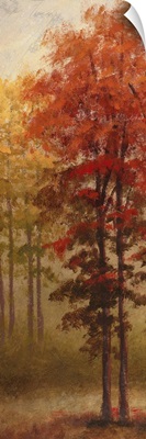 Fall Trees II