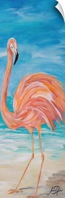 Flamingo II