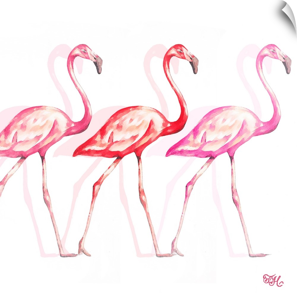 Square art of three flamingos in different shades of pink walking behind each other with light shadows in the background.
