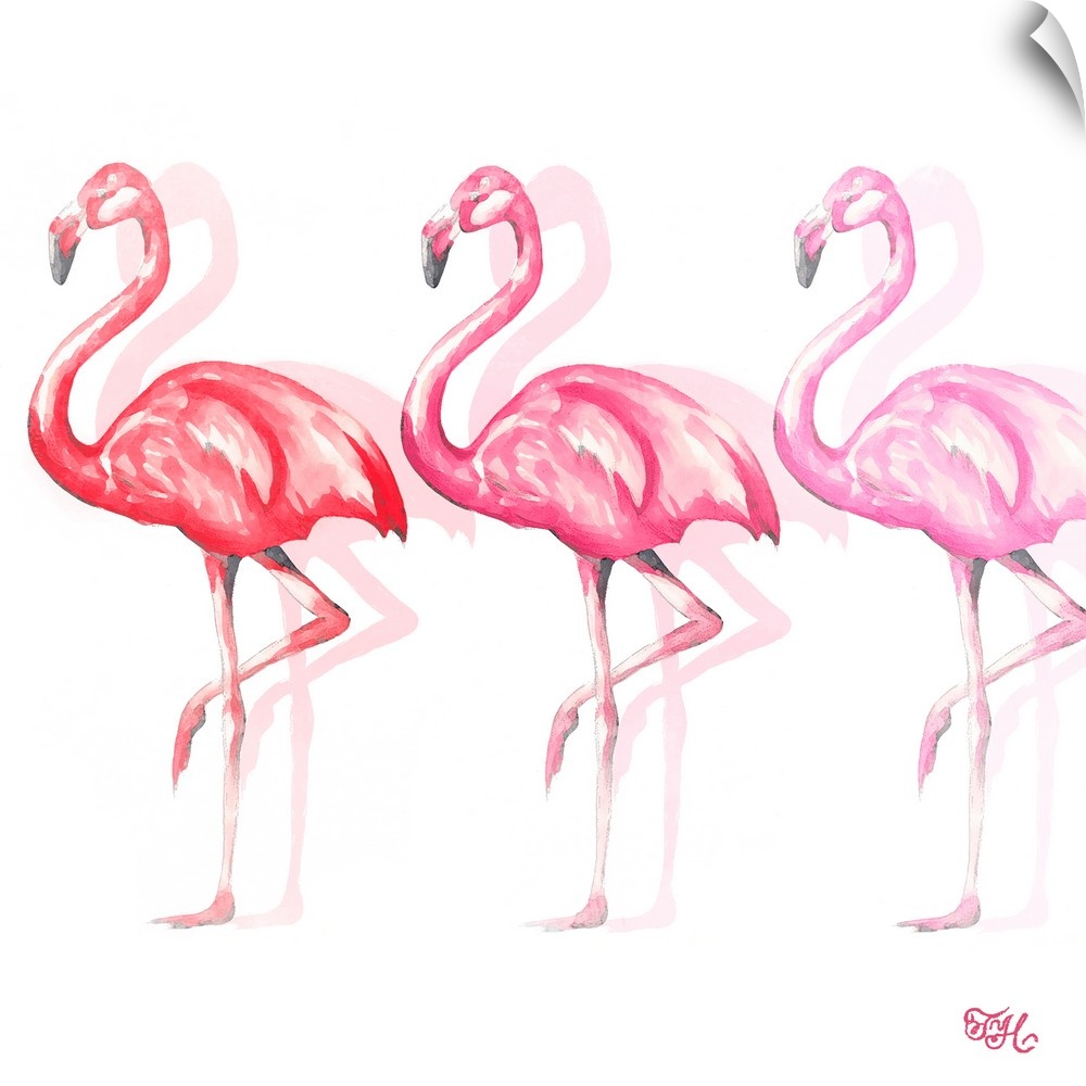 Square art of three flamingos in different shades of pink walking behind each other with light shadows in the background.