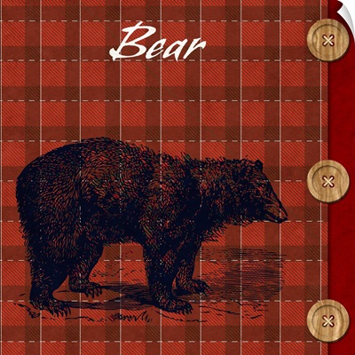 Flannel Bear