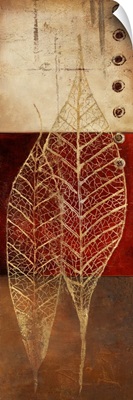 Fossil Leaves I