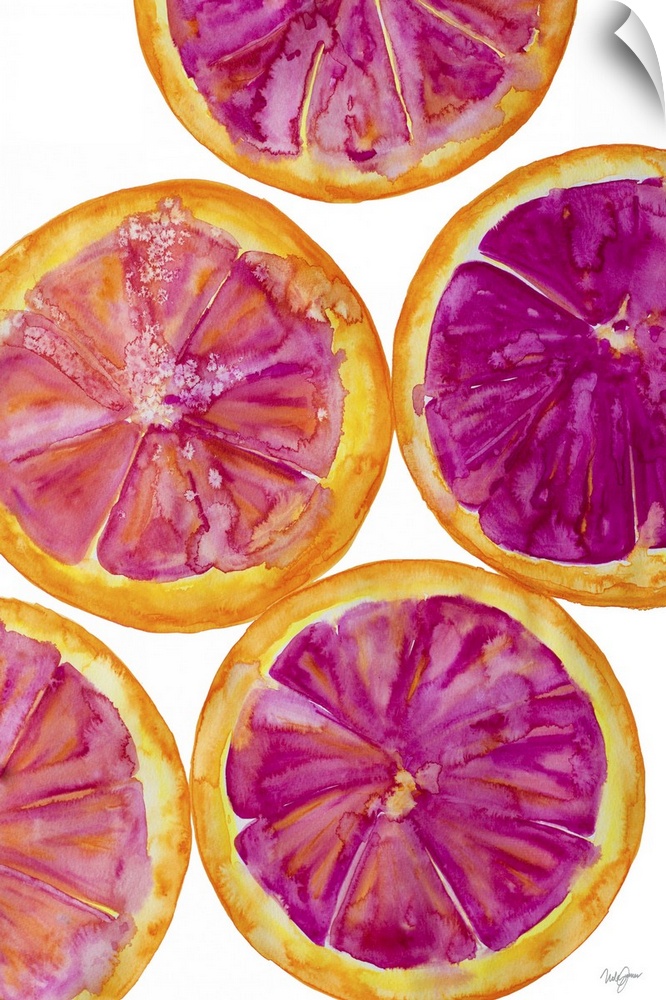 Watercolor painting of several grapefruit slices.