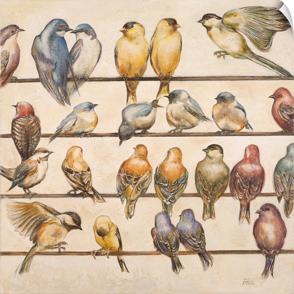 Contemporary artwork of a group of birds in pairs perched on lines, including goldfinches, swallows, and chickadees.