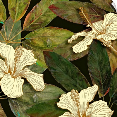 Hibiscus Leaves I