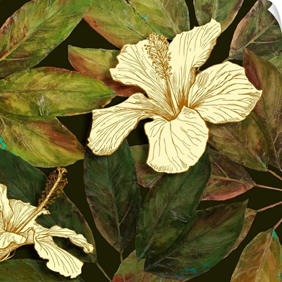 Hibiscus Leaves II