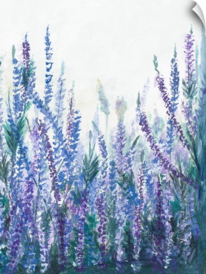 Lavender Garden II