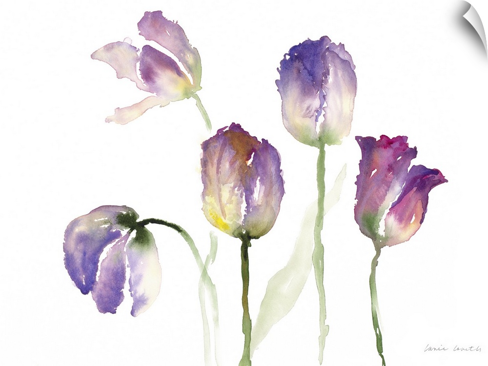Watercolor painting of several yellow and purple tulip flowers.