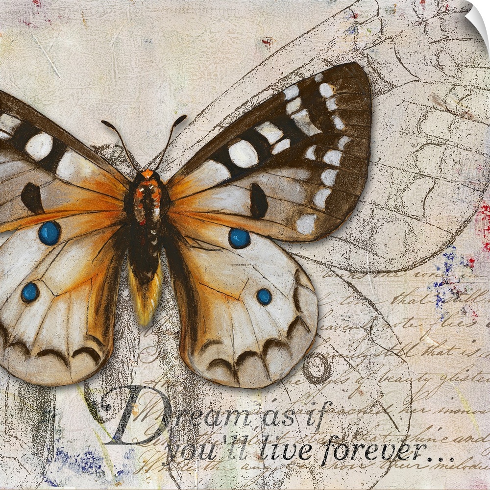 Square painting on canvas of a butterfly with the text "Dream as if you'll live forevero".