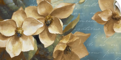 Magnolia Aglow II