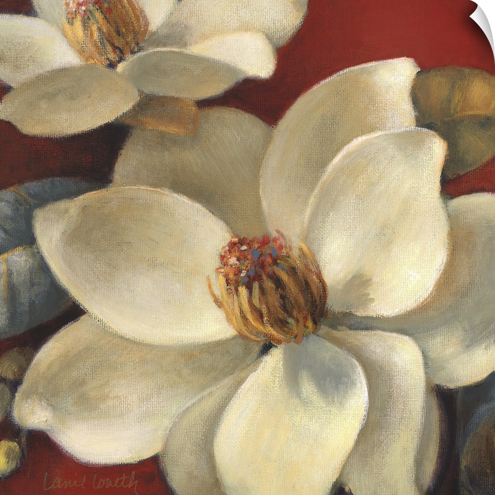 Floral painting of several white magnolia flowers on a red background.
