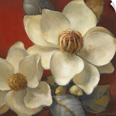 Magnolia Passion II