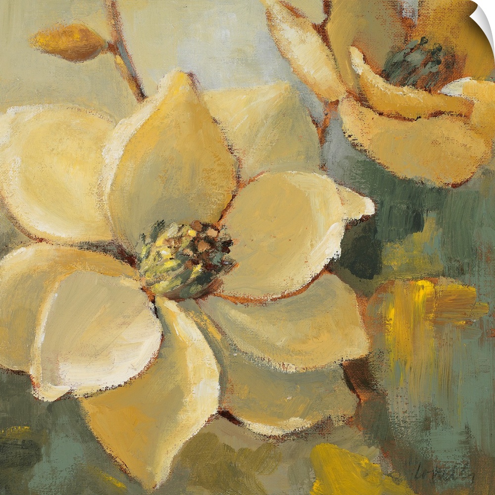 Square, oversized home art docor of two large magnolias in full bloom.  Painted with rough brushstrokes in neutral and gol...