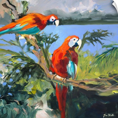 Parrots at Bay II