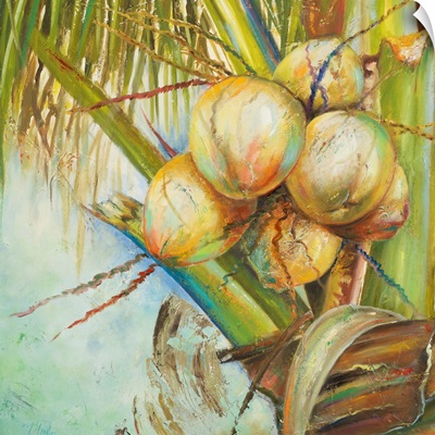 Patricia's Coconuts II
