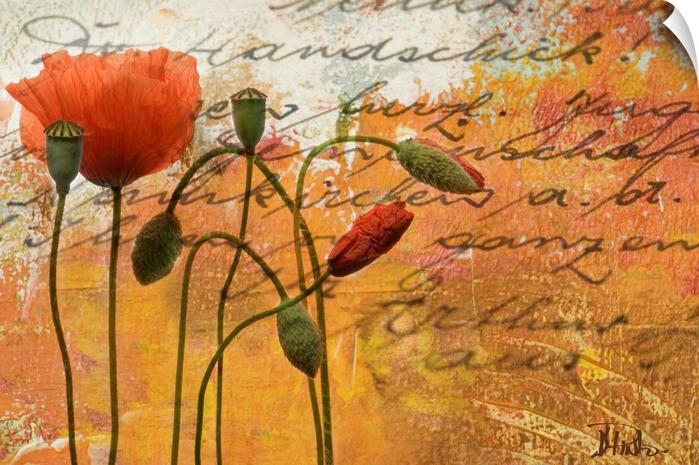Digital mixed media artwork with text overlaying painting of flowers.