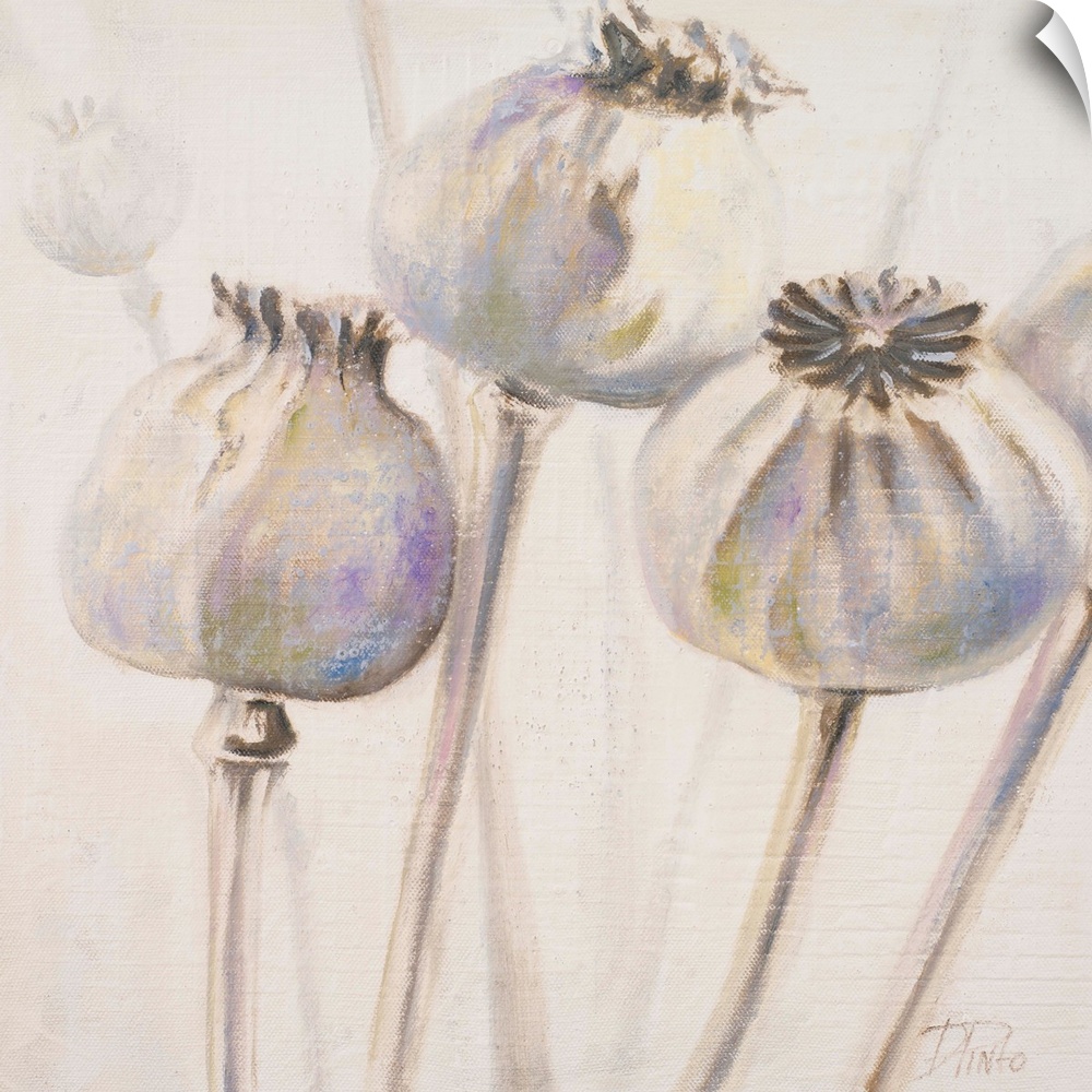 A soft and delicate contemporary painting of poppy buds before the bloom.