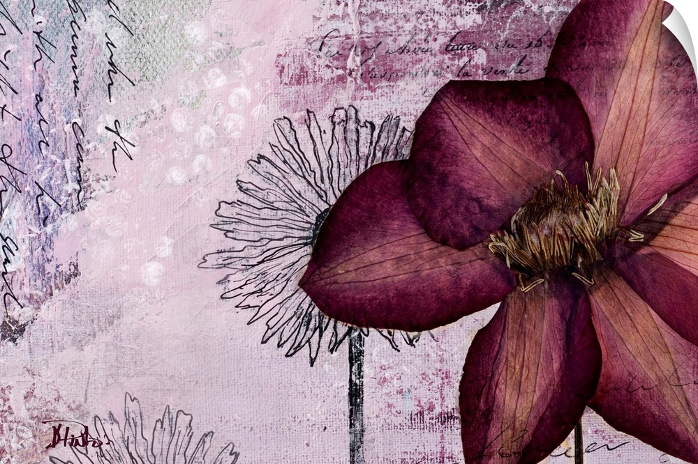 Large dried flower atop a mixed-media background with text and floral drawings.