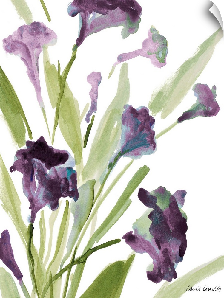 Watercolor painting of purple flowers on green stems against a white background.