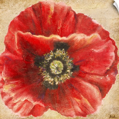 Red Poppy on Gold (without stem)