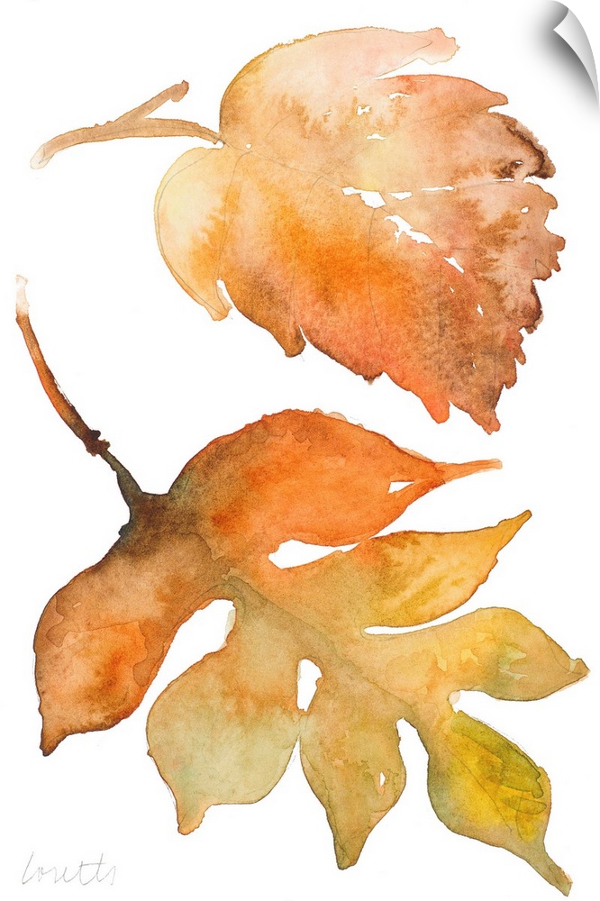 Watercolor painting of two fallen leaves in autumn colors.