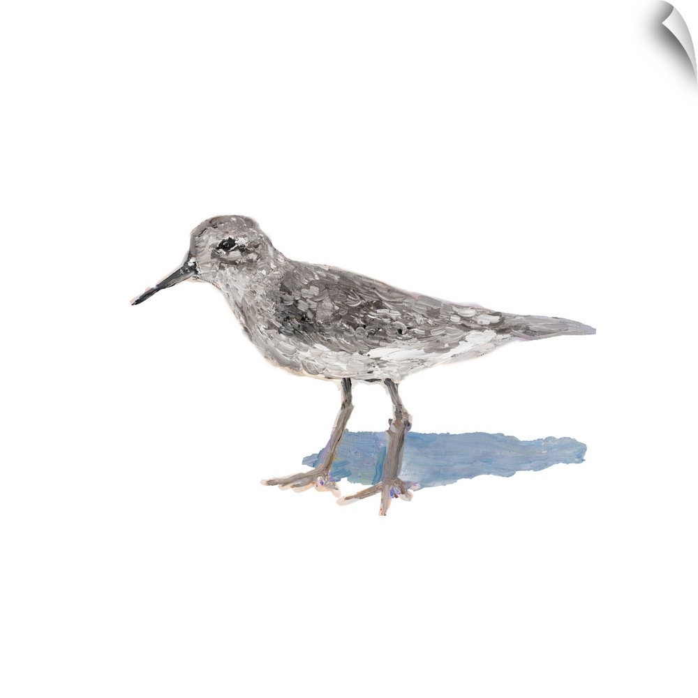 Square contemporary painting of a sandpiper on a solid white background.