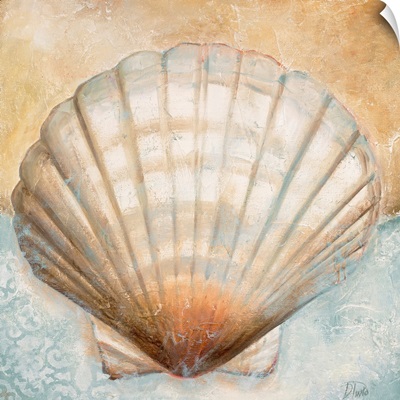 Seashell Collection III