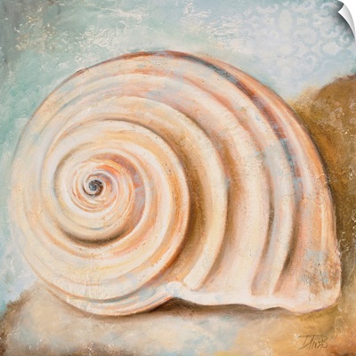 Seashell Collection IV