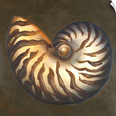 Seashell II