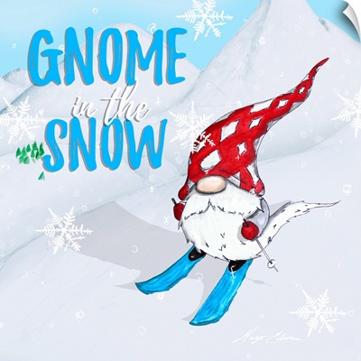 Ski Gnomes I