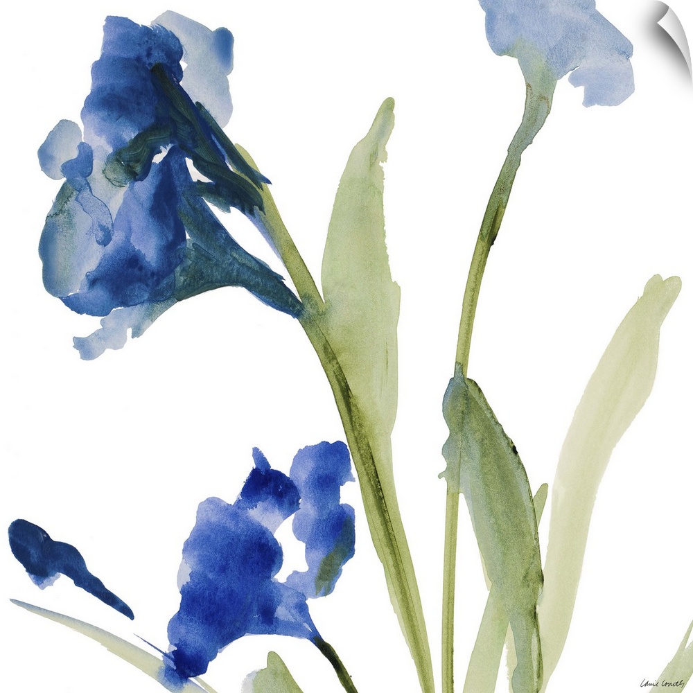 Watercolor painting of blue flowers on green stems against a white background.