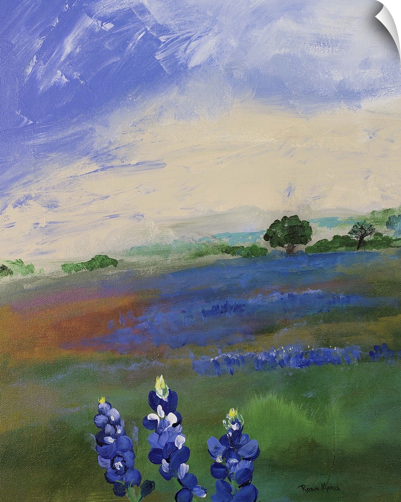 An open field under a blue sky with bluebonnet flowers.