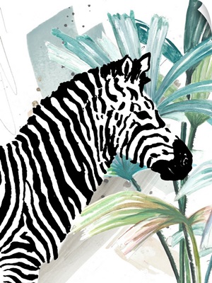 Tropical Zebra