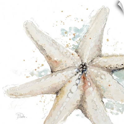 Water Starfish