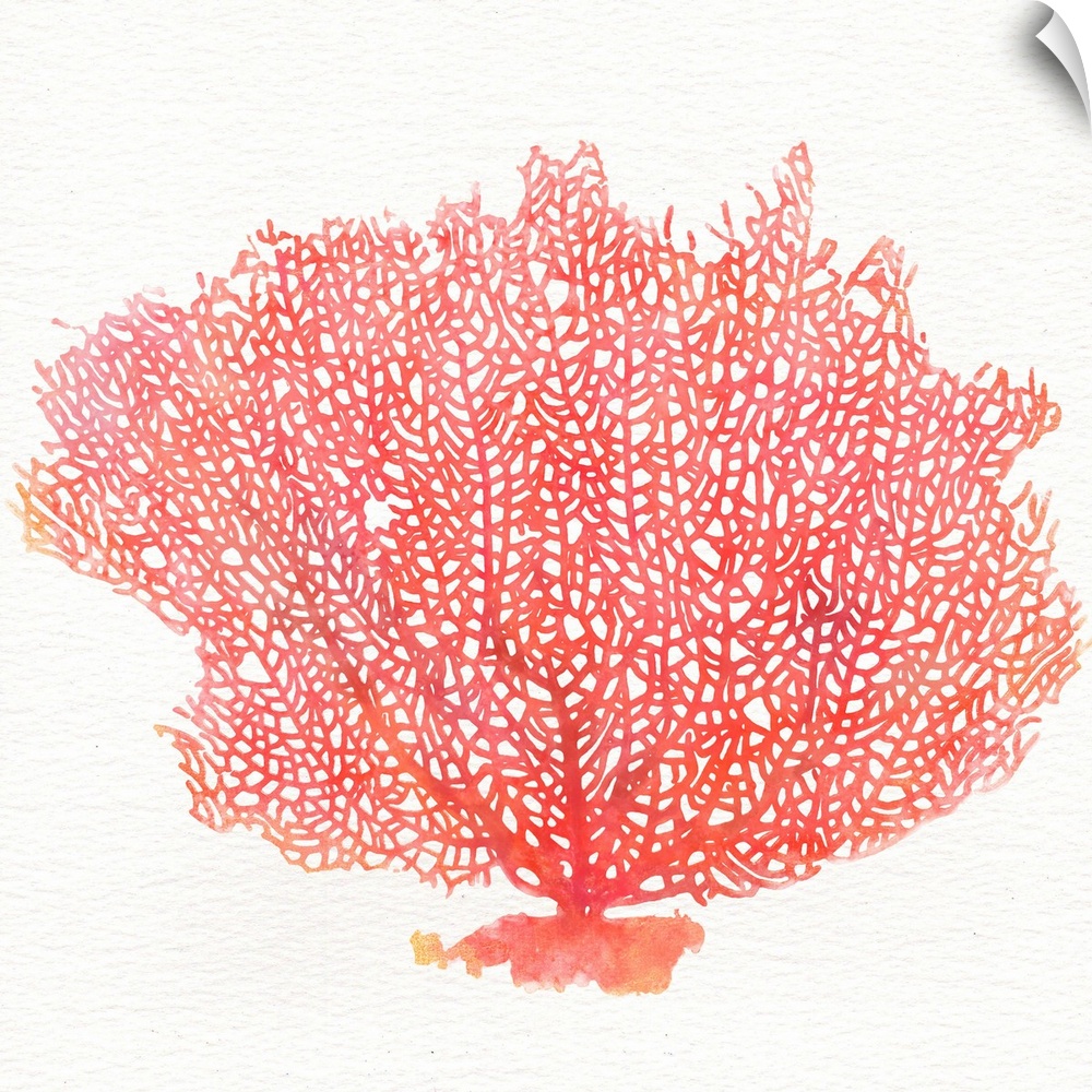 Contemporary watercolor painting of red fan coral against a white background.