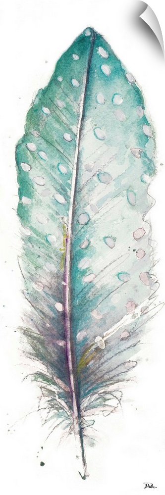 Watercolor painting of a pointed, spotted feather.