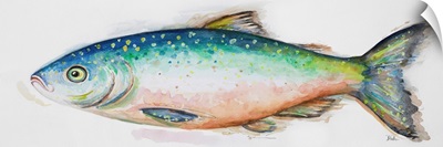 Watercolor Fish I