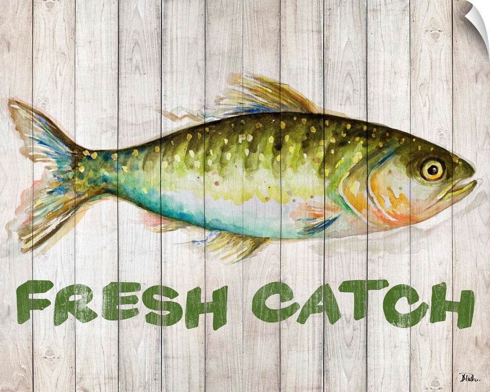 Watercolor painting of a freshwater fish with "Fresh Catch" written below.