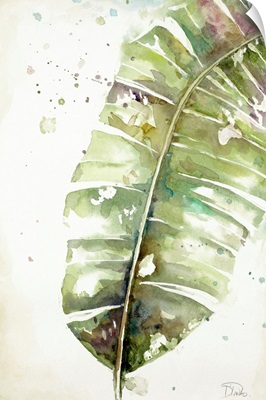 Watercolor Plantain Leaves II