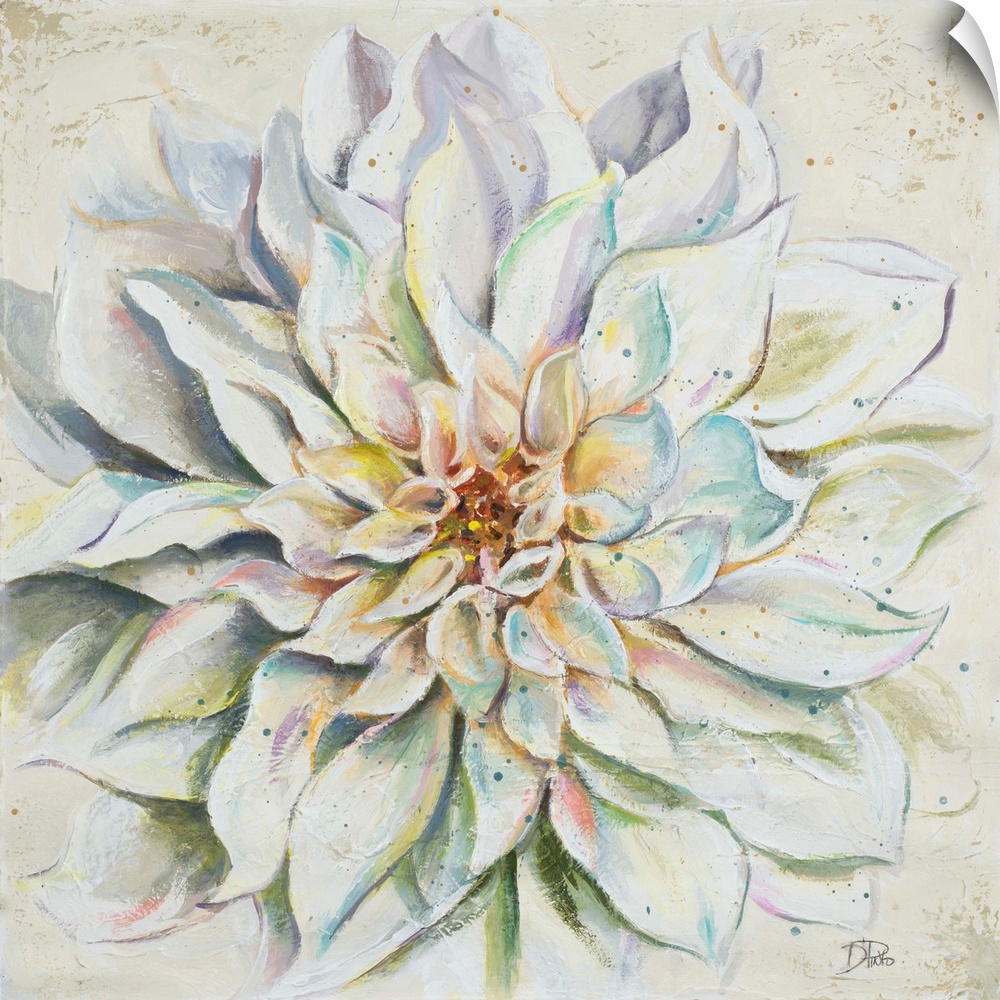 Decorative artwork of a dahlia flower with several pointed petals.