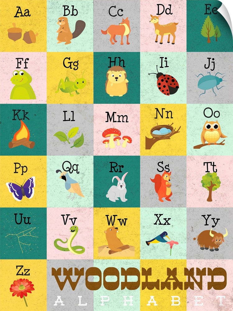 The alphabet illustrated with creatures and objects found in the woods.