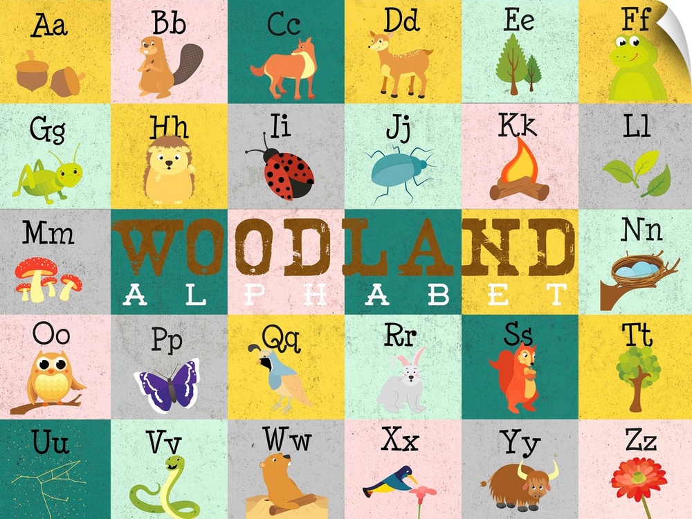 The alphabet illustrated with creatures and objects found in the woods.